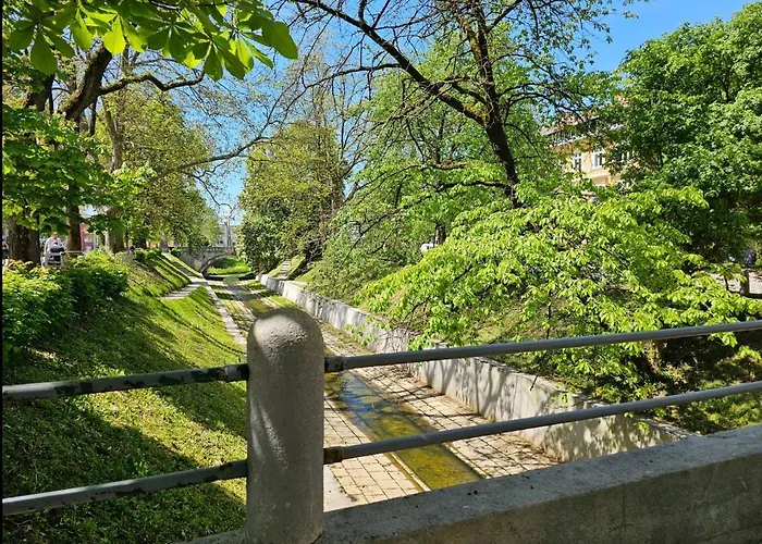 Apartment Cozy Nest *